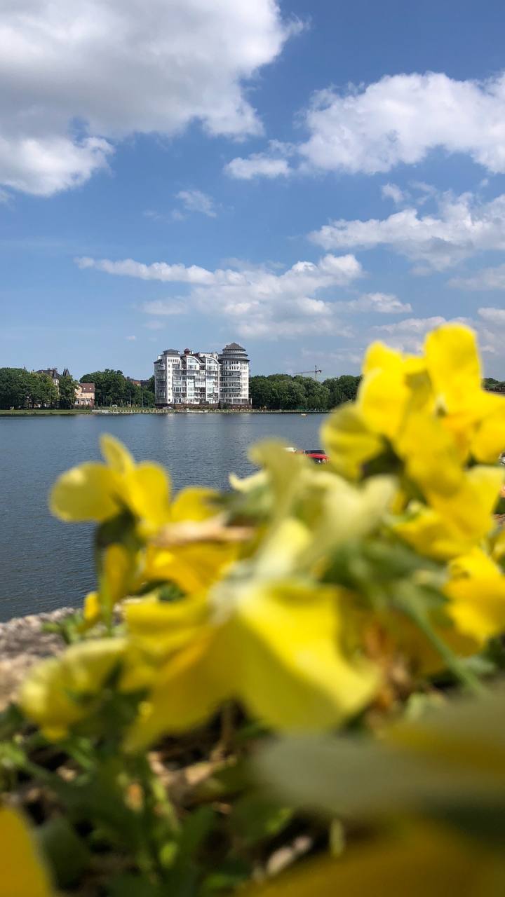Отпуск прошел великолепно. 8 дней в Калининграде пролетели как один миг. Теперь впереди работа и режим ожидания нового отпуска❤️ | Сетка — социальная сеть от hh.ru