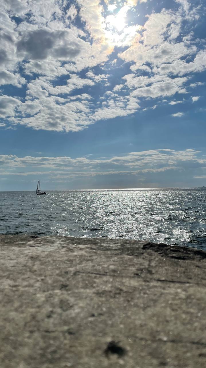 Отпуск прошел великолепно. 8 дней в Калининграде пролетели как один миг. Теперь впереди работа и режим ожидания нового отпуска❤️ | Сетка — социальная сеть от hh.ru