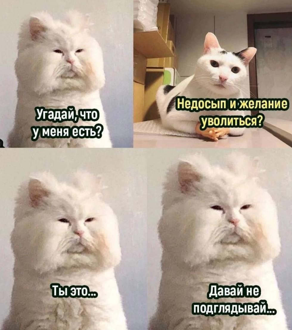 И глаза руками закрой!🫣 | Сетка — социальная сеть от hh.ru