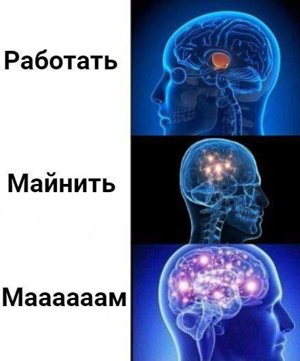 ТАПАТЬ ХОМЯКА | Сетка — социальная сеть от hh.ru