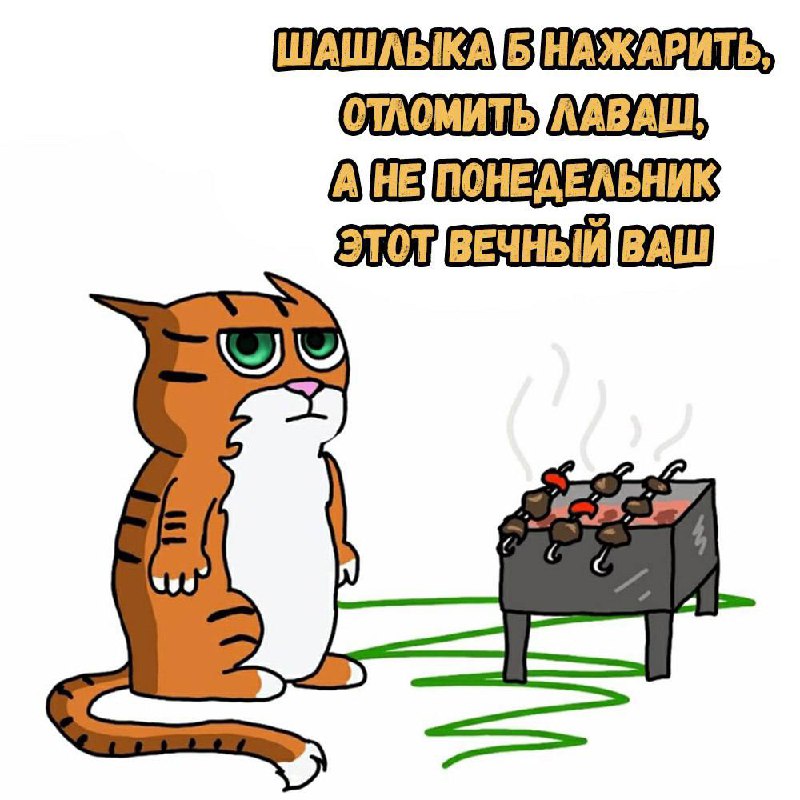 Админ жив. Если вдруг забыли про этот канал. Правда шашлыки жарить не любит. Только есть. | Сетка — социальная сеть от hh.ru