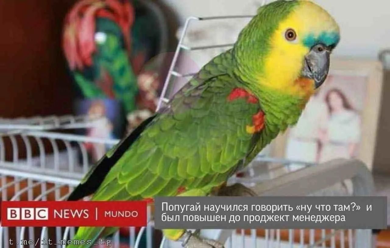 Как я пришел к проджект менеджменту 
@umedschannel
#мемы | Сетка — социальная сеть от hh.ru