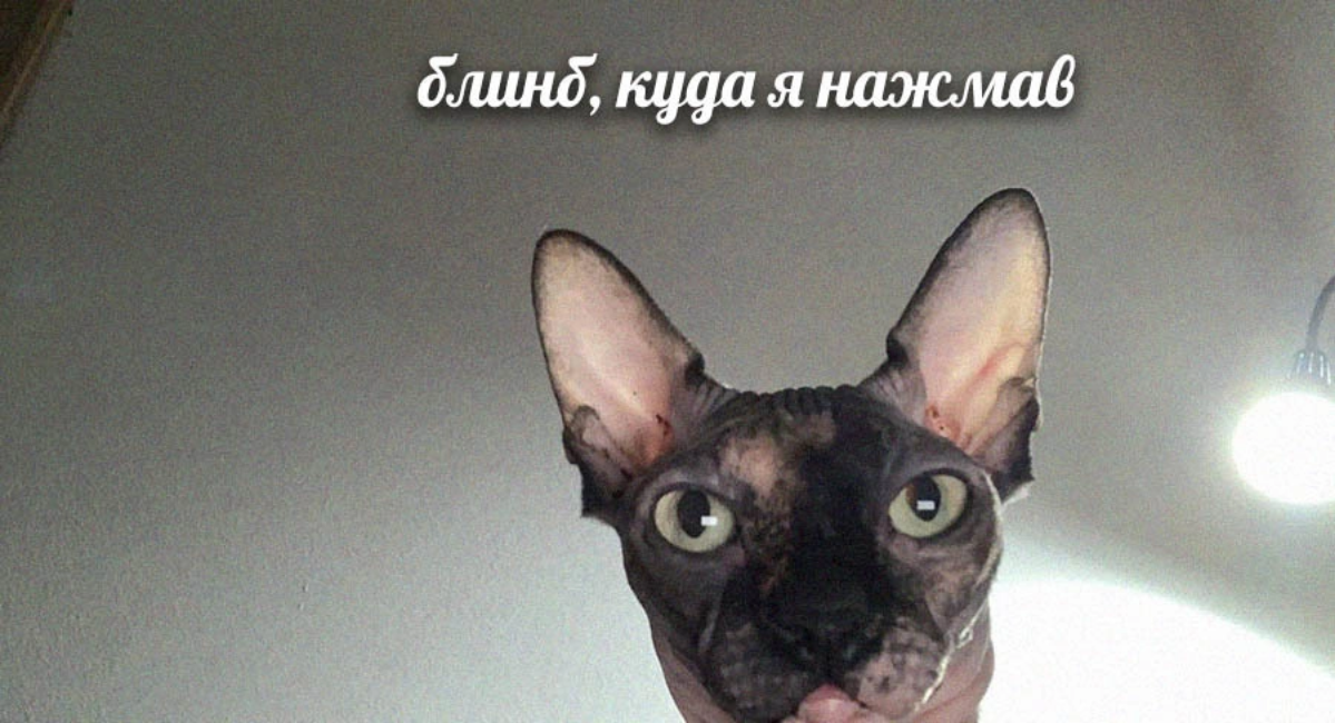 Частое явление в техподдержке) | Сетка — социальная сеть от hh.ru