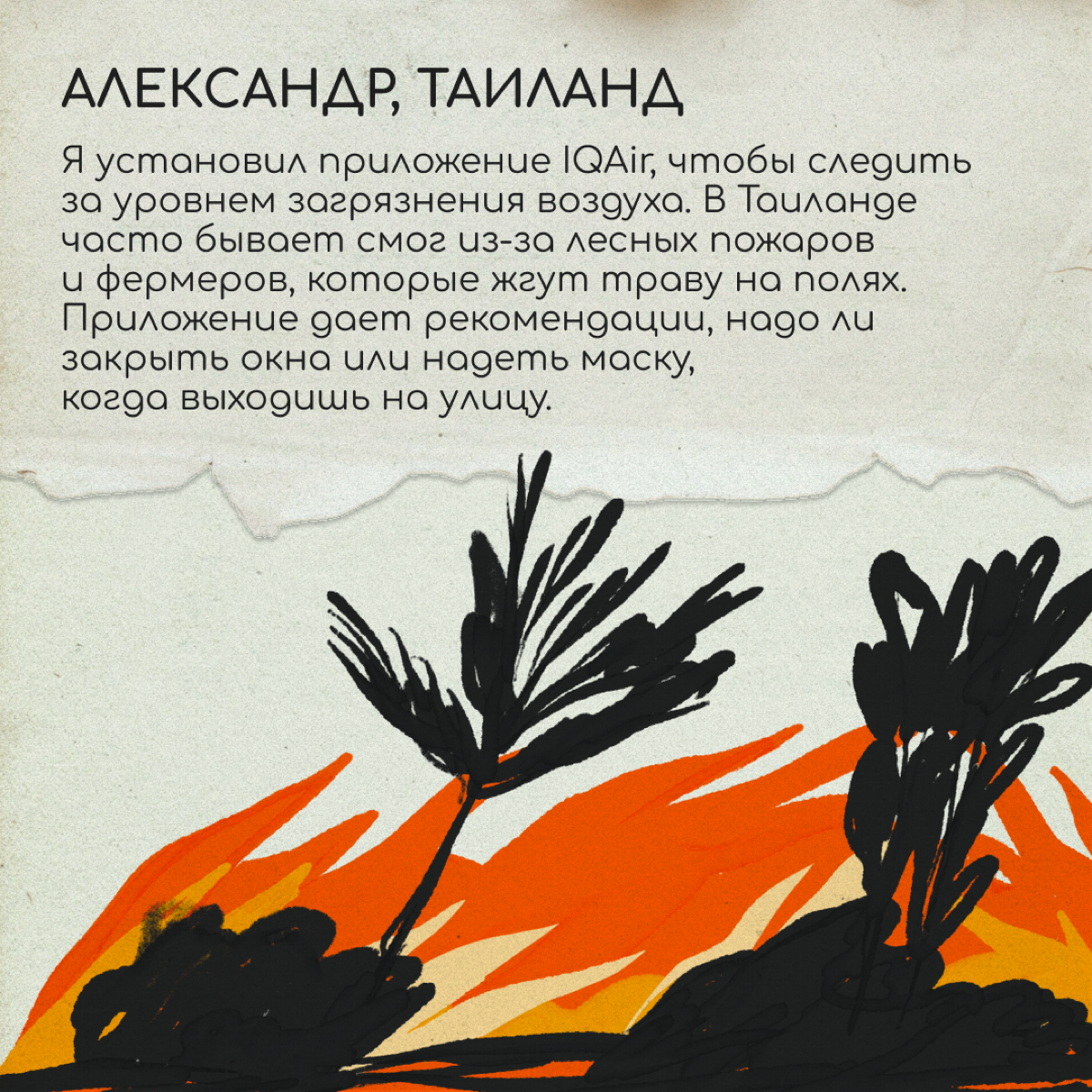 После переезда в телефоне появляются приложения, без которых в новой стране было бы непросто. А какие установили вы? Делитесь в комментариях — кому-то из читателей точно пригодятся! | Сетка — социальная сеть от hh.ru