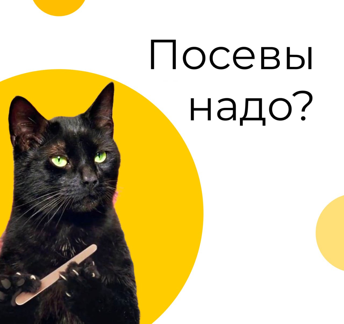 Задумываетесь о продвижении в Телеграм? | Сетка — социальная сеть от hh.ru