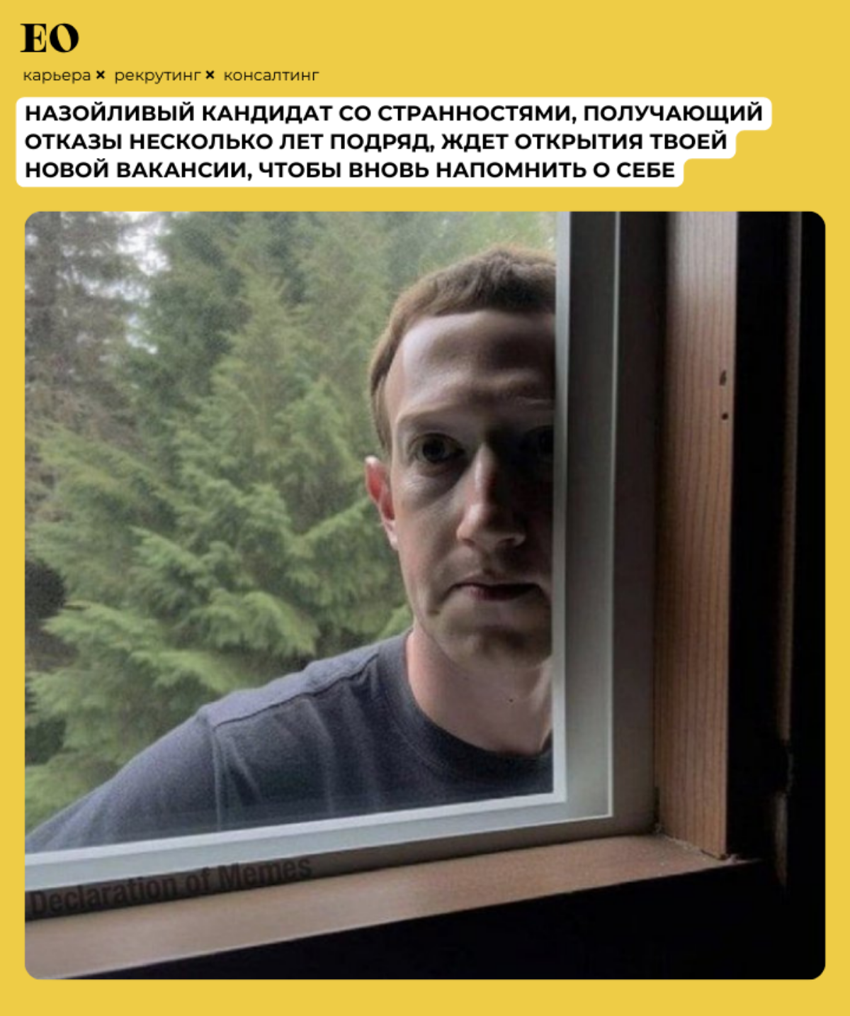 У всех же есть любимчик, правда?) | Сетка — социальная сеть от hh.ru