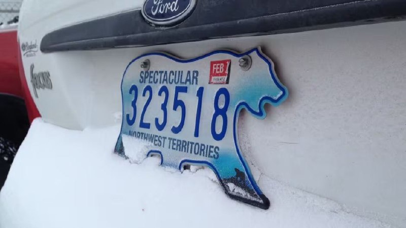 Медвежий номер | Сетка — социальная сеть от hh.ru