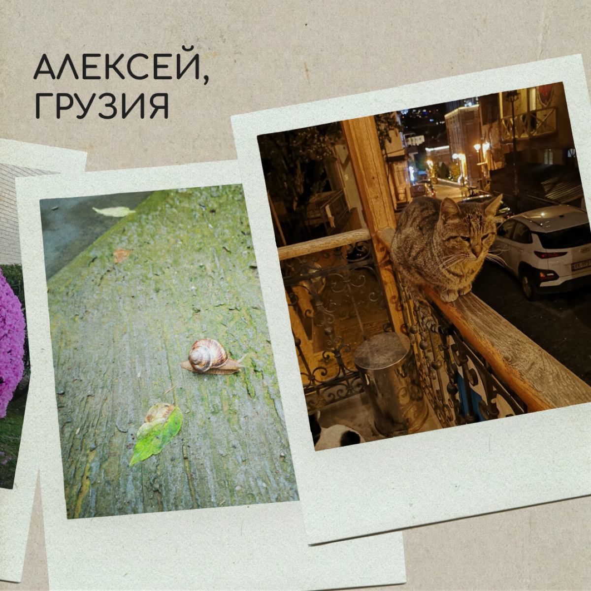 Вы тоже по-доброму посмеивались над мамой, которая фотографировалась на фоне клумбы? А теперь сами снимаете цветочки и голубое небо — ну, потому что невозможно как красиво! 
Делитесь фотографиями свое... | Сетка — социальная сеть от hh.ru