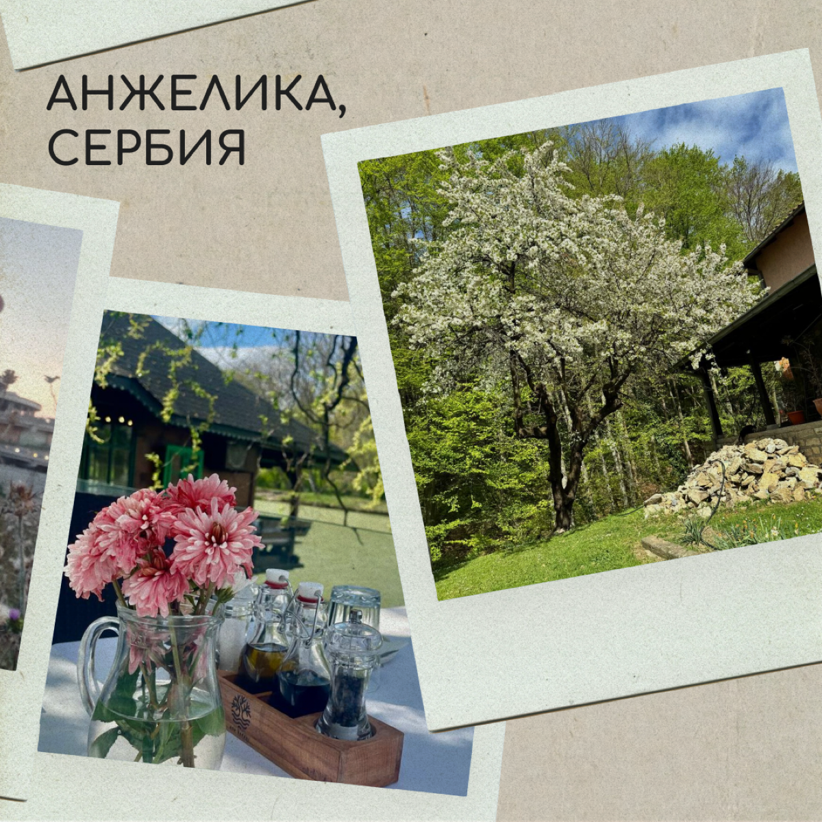 Вы тоже по-доброму посмеивались над мамой, которая фотографировалась на фоне клумбы? А теперь сами снимаете цветочки и голубое небо — ну, потому что невозможно как красиво! 
Делитесь фотографиями свое... | Сетка — социальная сеть от hh.ru