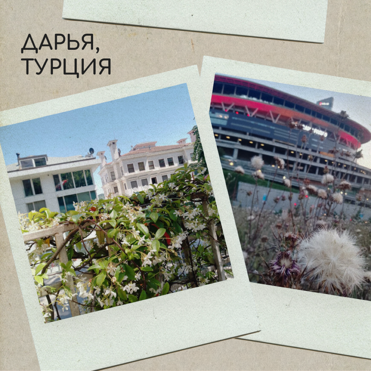 Вы тоже по-доброму посмеивались над мамой, которая фотографировалась на фоне клумбы? А теперь сами снимаете цветочки и голубое небо — ну, потому что невозможно как красиво! 
Делитесь фотографиями свое... | Сетка — социальная сеть от hh.ru