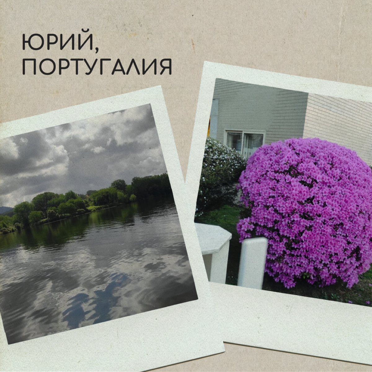 Вы тоже по-доброму посмеивались над мамой, которая фотографировалась на фоне клумбы? А теперь сами снимаете цветочки и голубое небо — ну, потому что невозможно как красиво! 
Делитесь фотографиями свое... | Сетка — социальная сеть от hh.ru