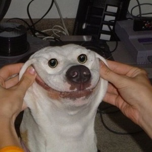 Пироги с сомнительной начинкой