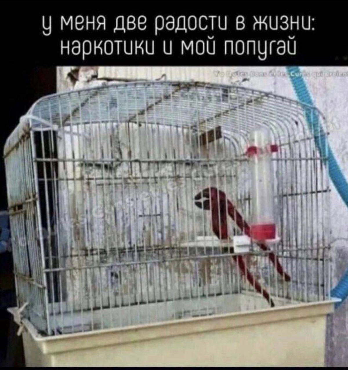Третий год удаленки. А кому сейчас легко? | Сетка — социальная сеть от hh.ru