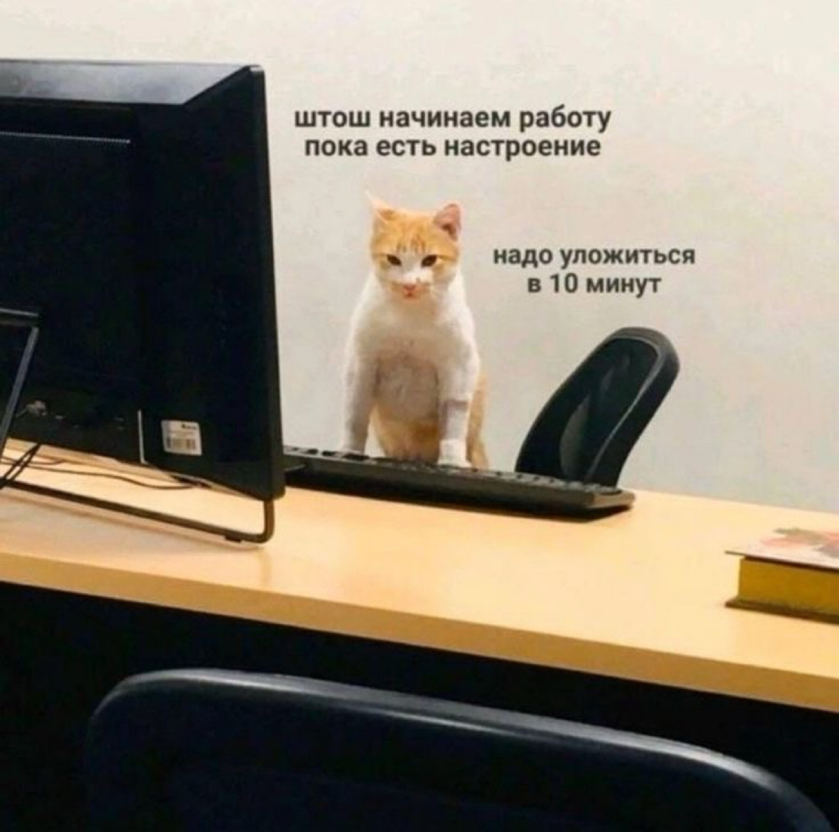 Откладываешь самую неприятную задачу на конец недели
Наступает пятница | Сетка — социальная сеть от hh.ru