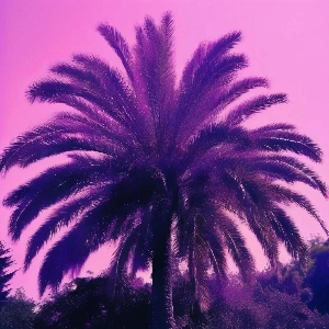 Сочи в сетке