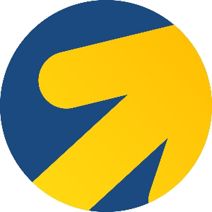 ДИРЕКТОЛОГ - ЯНДЕКС ДИРЕКТ