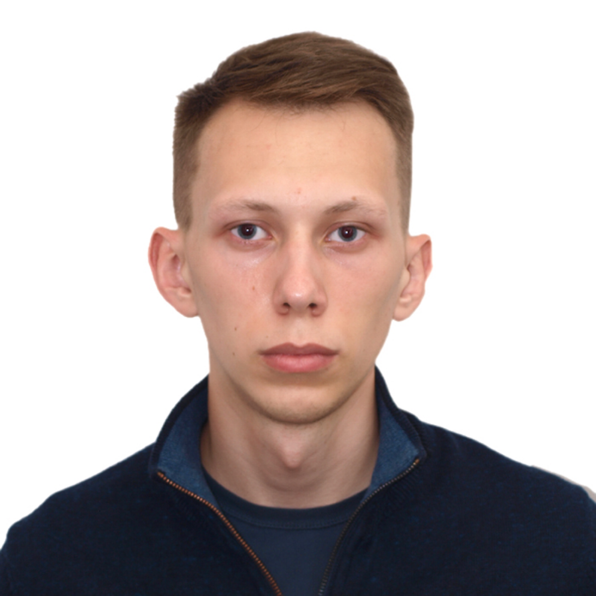 Дмитрий Мингалев