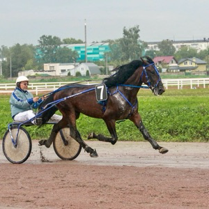 Евгений Карнаухов | Сетка — социальная сеть от hh.ru