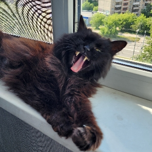 Кристина Иванова | Сетка — социальная сеть от hh.ru