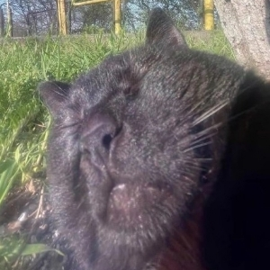 Михаил Кливекин | Сетка — социальная сеть от hh.ru