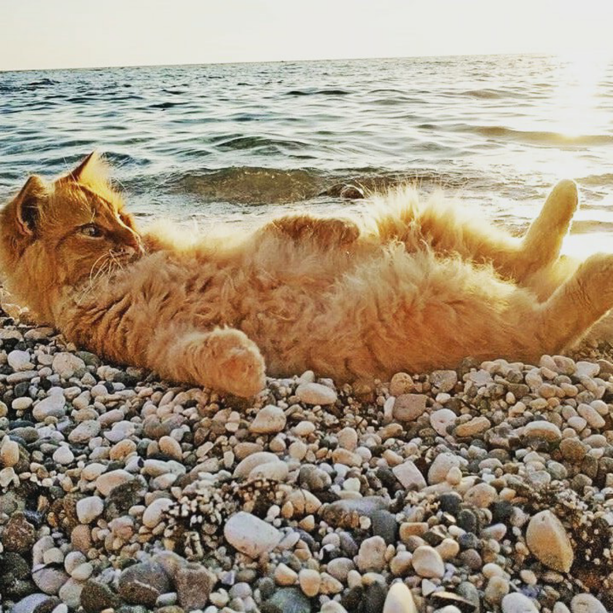 Никита Иваньков | Сетка — социальная сеть от hh.ru