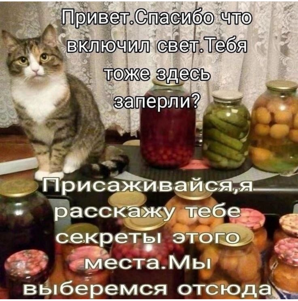 Добро пожаловать в сетку | Сетка — социальная сеть от hh.ru