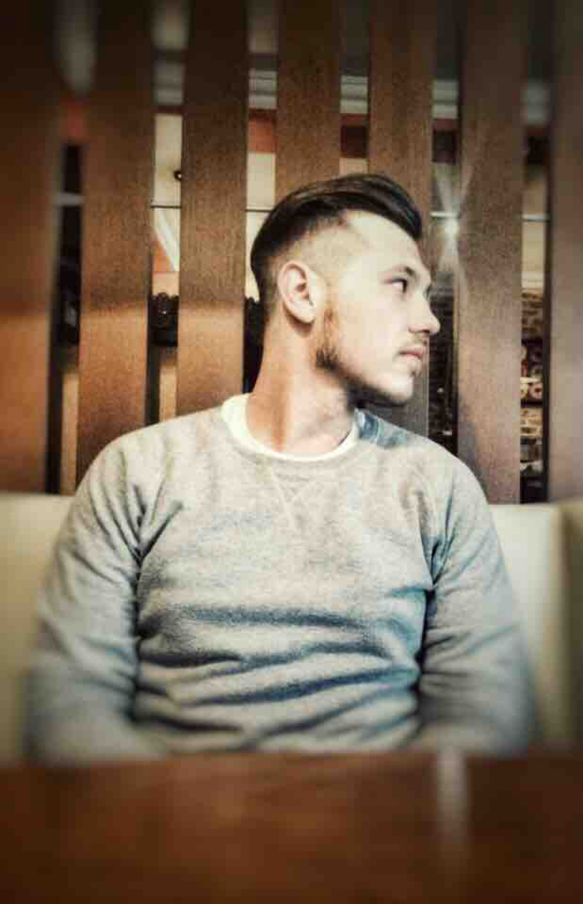 Дмитрий Кулешов