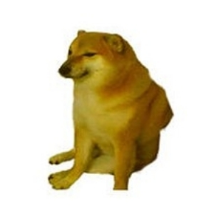 Елена Кривощекова