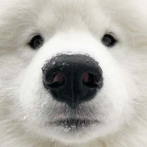 Марина Никулина | Сетка — социальная сеть от hh.ru