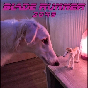 Никита Гридин