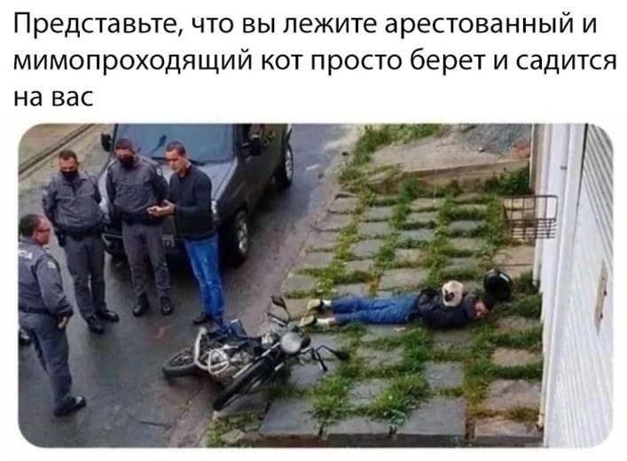 Сетка — социальная сеть от hh.ru