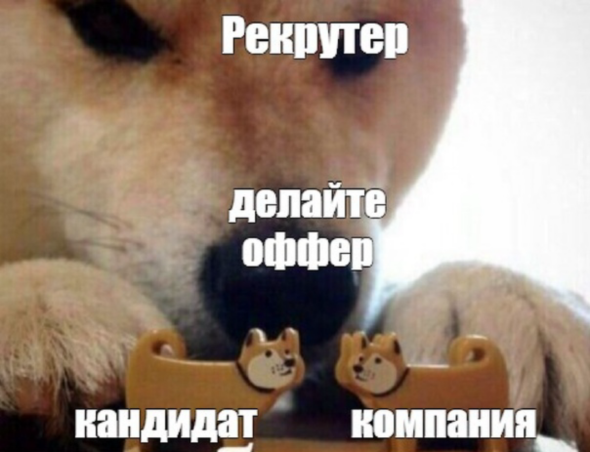 Мемы что ли покидаю | Сетка — социальная сеть от hh.ru