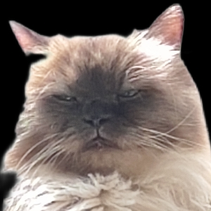 Даниил Смышляев | Сетка — социальная сеть от hh.ru