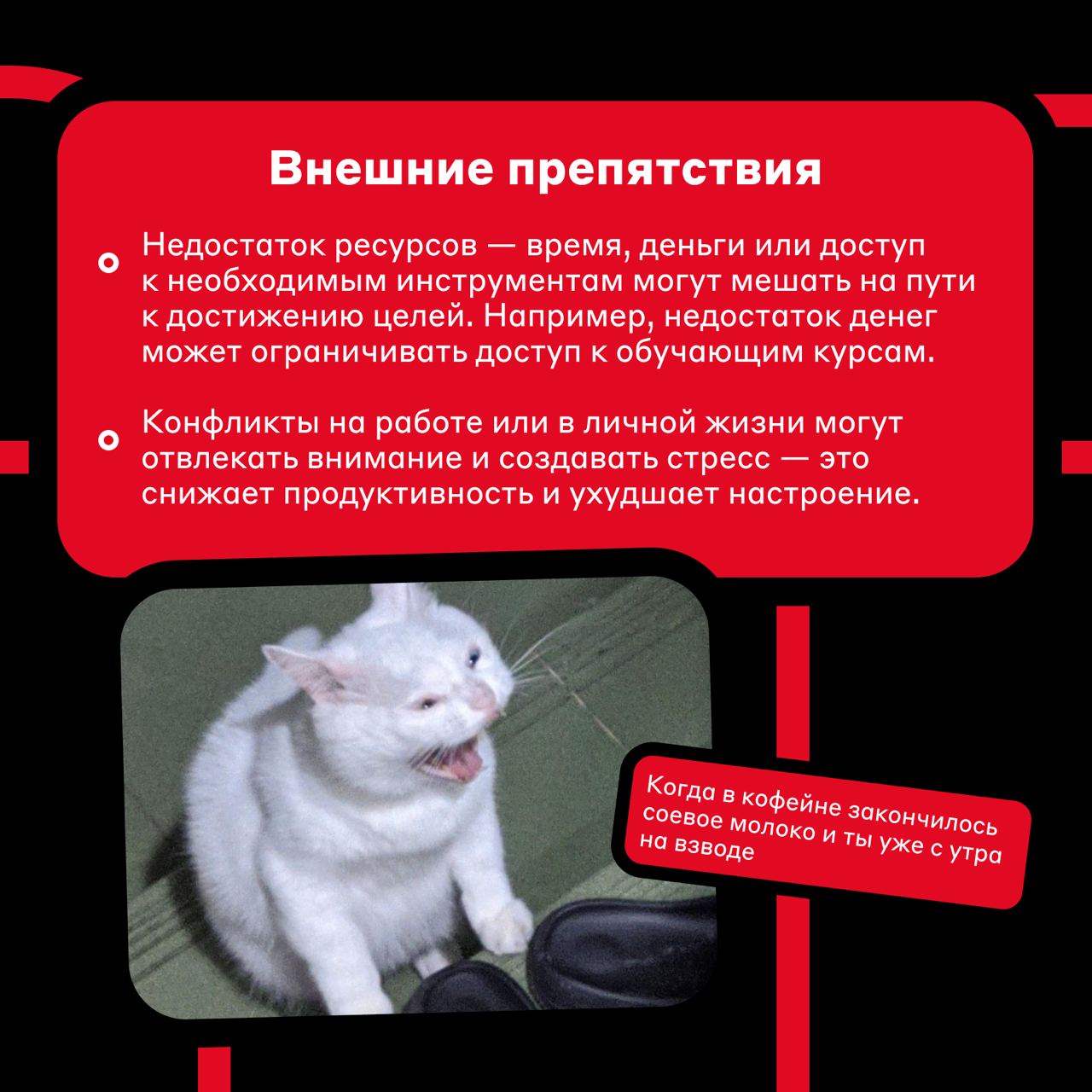 Что мешает вам быть эффективными 😴
Продуктивность и эффективность необходимы, чтобы успешно выполнять рабочие задачи и достигать целей | Сетка — социальная сеть от hh.ru