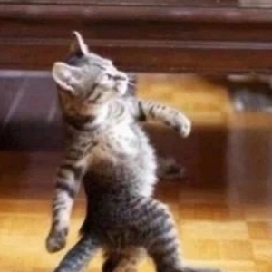 Даниил Калинин