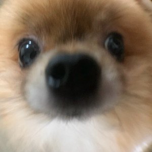 Дмитрий Rus | Сетка — социальная сеть от hh.ru