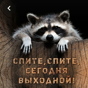 Александр Сахарцев