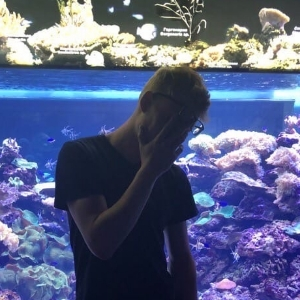 Виталий Алексеев | Сетка — социальная сеть от hh.ru