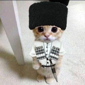 Kebab Boy