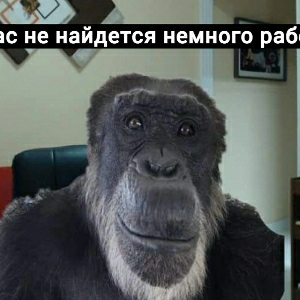 Артур Артур | Сетка — социальная сеть от hh.ru