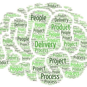 Не PMBoK единым