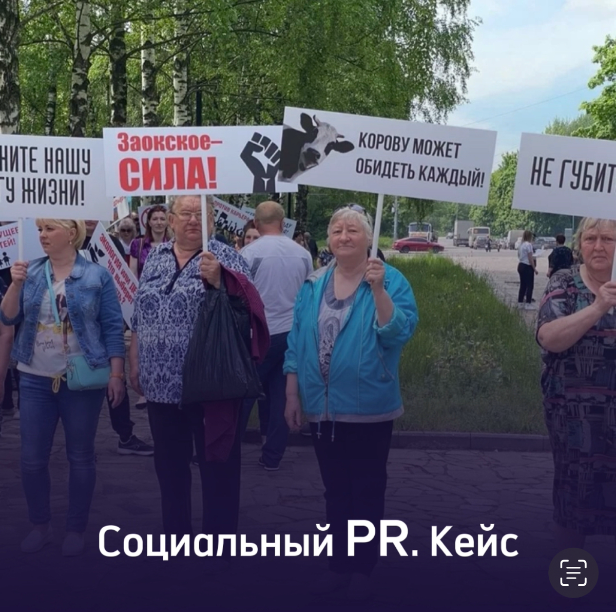 «Корову может обидеть каждый» | Сетка — социальная сеть от hh.ru