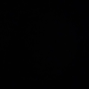 Екатерина Андреева