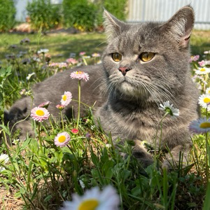Екатерина Литвиненко | Сетка — социальная сеть от hh.ru