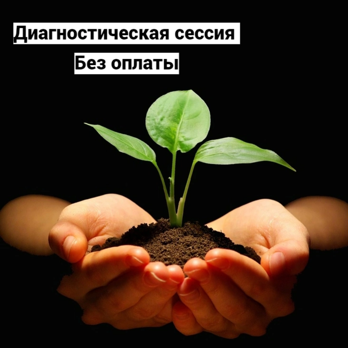 Диагностическая сессия без оплаты | Сетка — социальная сеть от hh.ru
