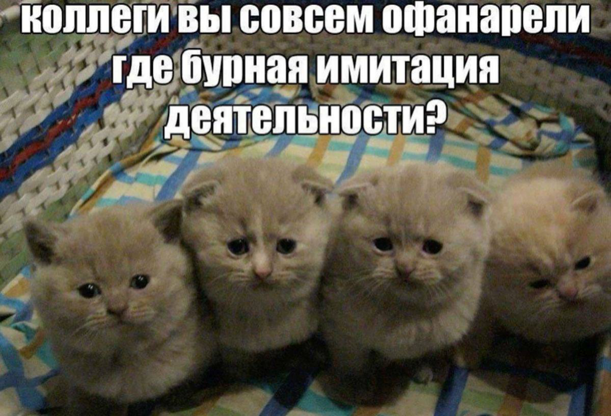 К размышлению: есть ли смысл внутрикому постоянно сидеть в офисе?
Если сейчас не период цейтнота, то всю работу можно сделать за несколько часов | Сетка — социальная сеть от hh.ru