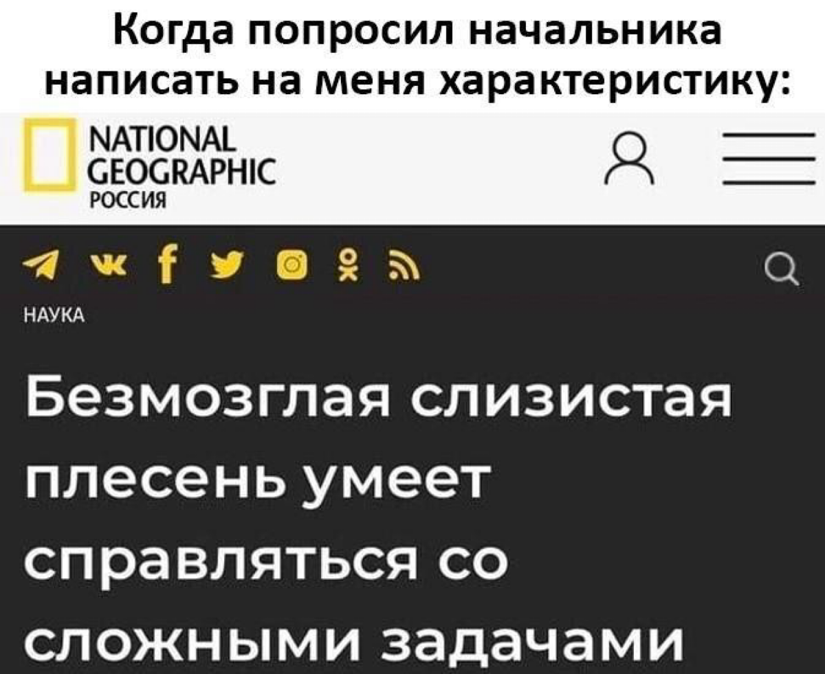 Мем 23 | Сетка — социальная сеть от hh.ru