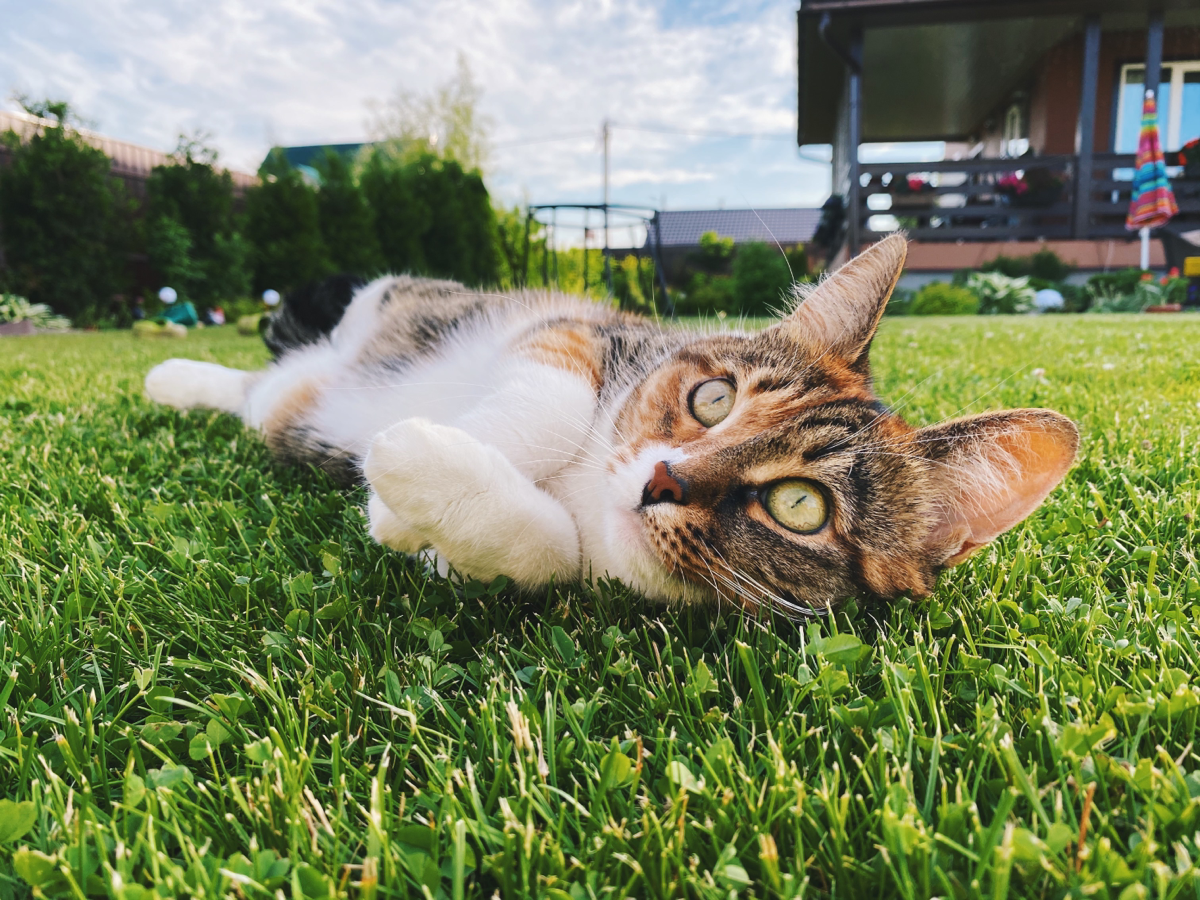 Татьяна Гриценко | Сетка — социальная сеть от hh.ru