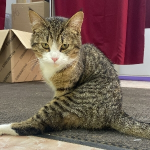 Навигатор жизни