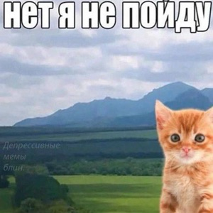 Алексей Спокойный